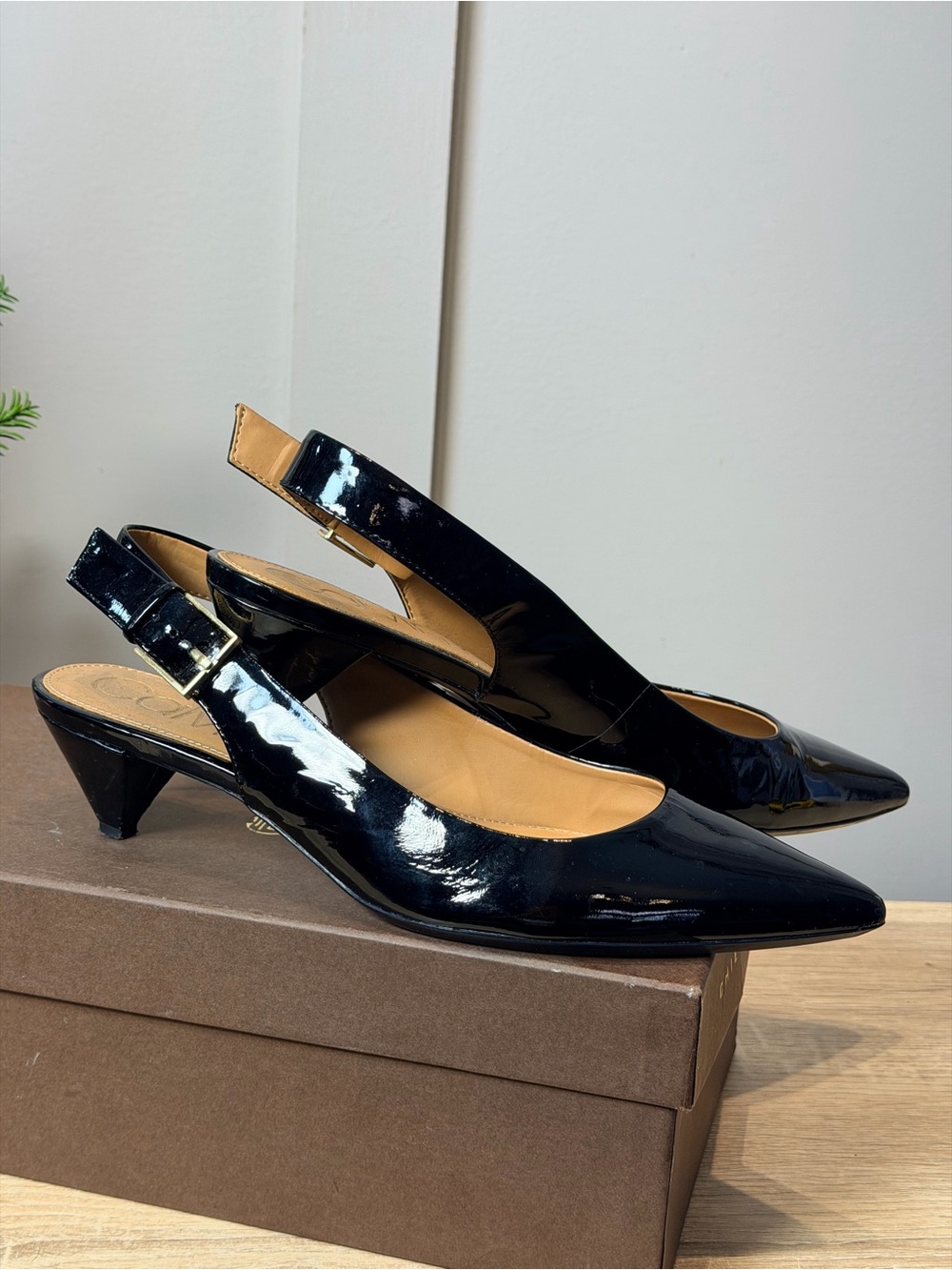 Calvin Klein Womens Luka Slingback Pump Black 8.5